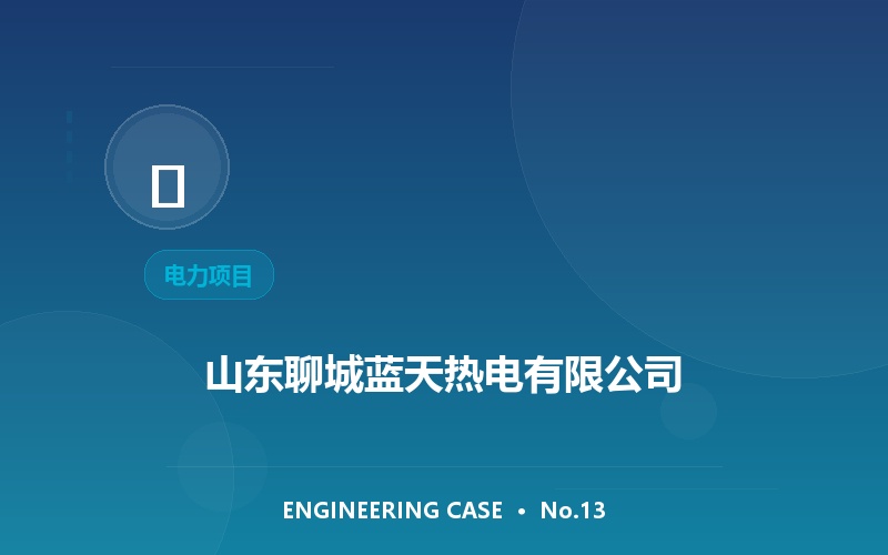 山东聊城蓝天热电有限公司